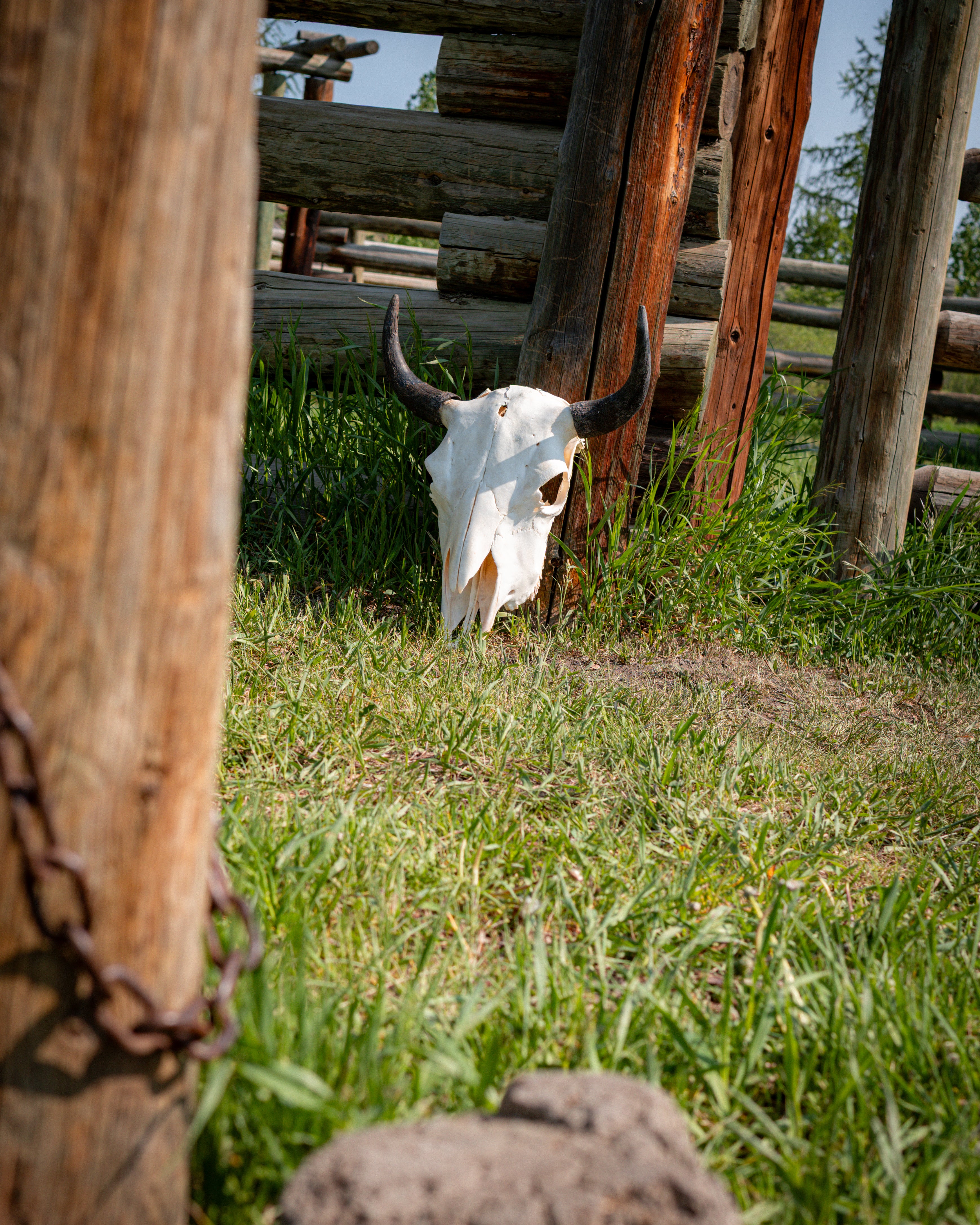 Tall Skull | Bullet Mark